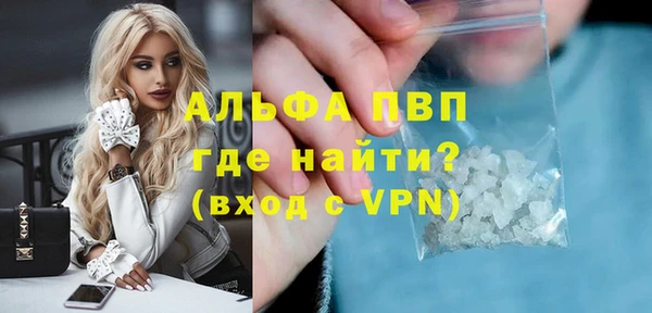 стаф Арсеньев