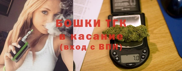 стаф Арсеньев