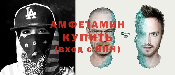 сатива Аркадак