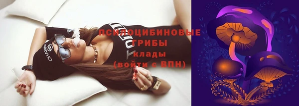 стаф Арсеньев