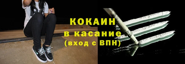 сатива Аркадак