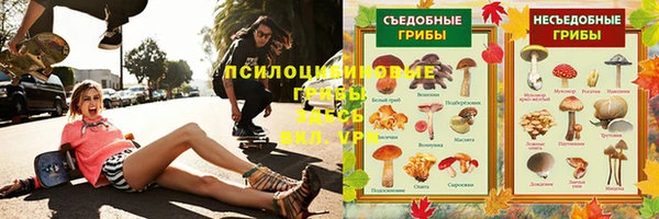 стаф Арсеньев