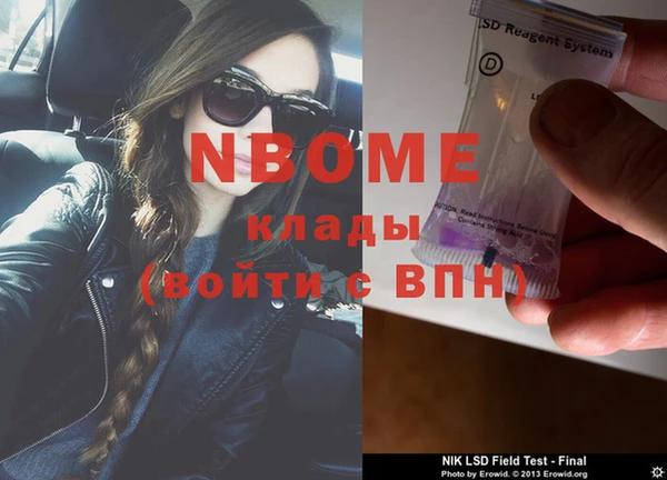 сатива Аркадак