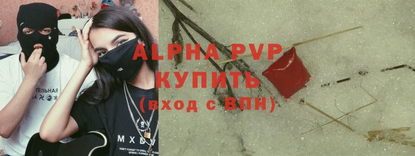 стаф Арсеньев