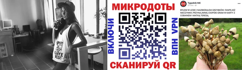 Псилоцибиновые грибы GOLDEN TEACHER  Лермонтов 